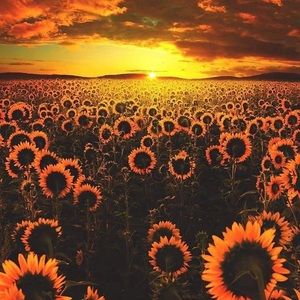 Meet your Posher, Christy